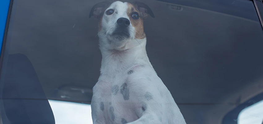 Car Lockout Solutions in Red Bluff, California